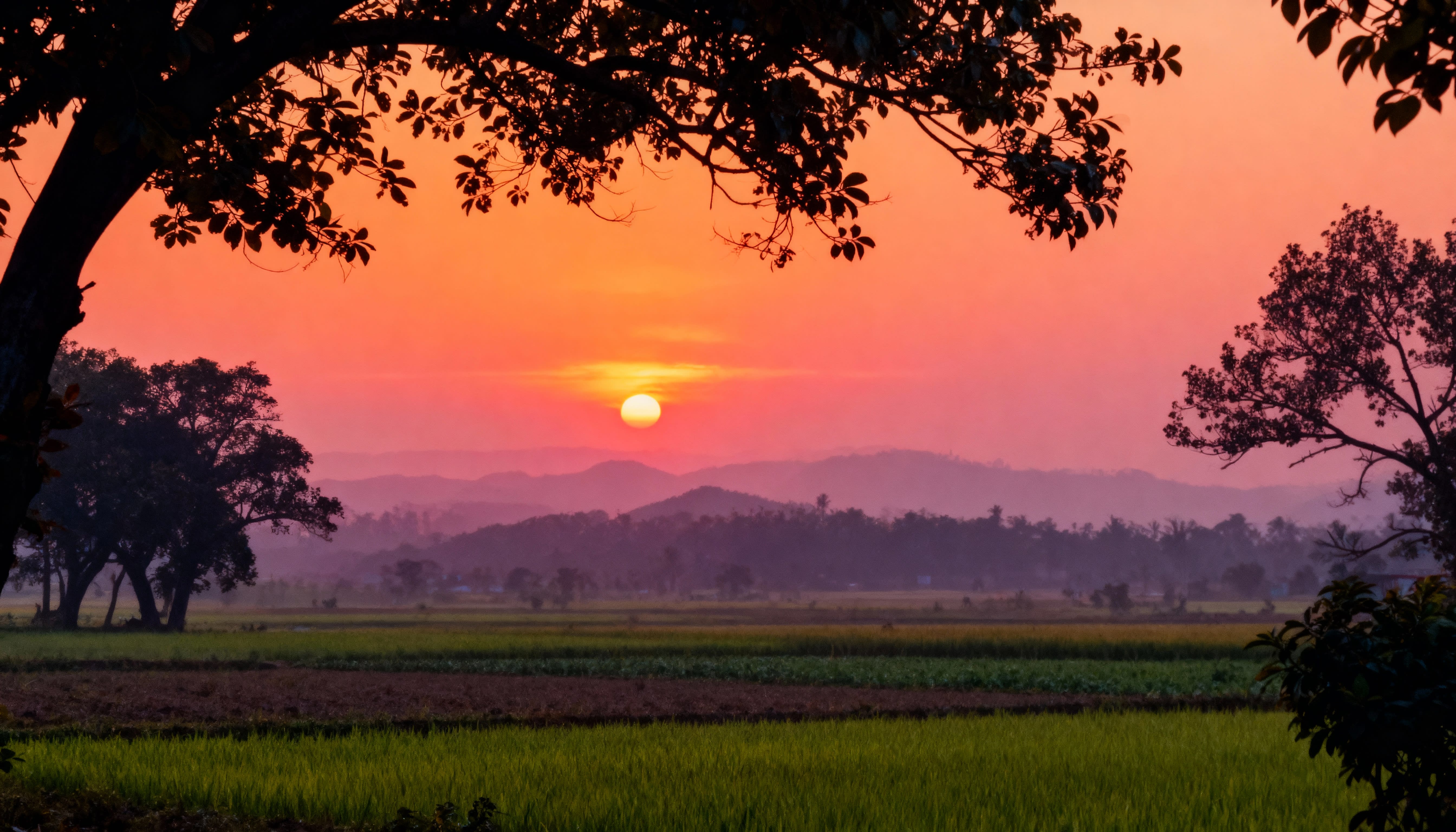 Sustainable agriculture landscape