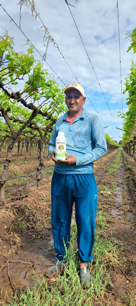 Suresh Borade from Pimpalgaon Khamb, Maharashtra